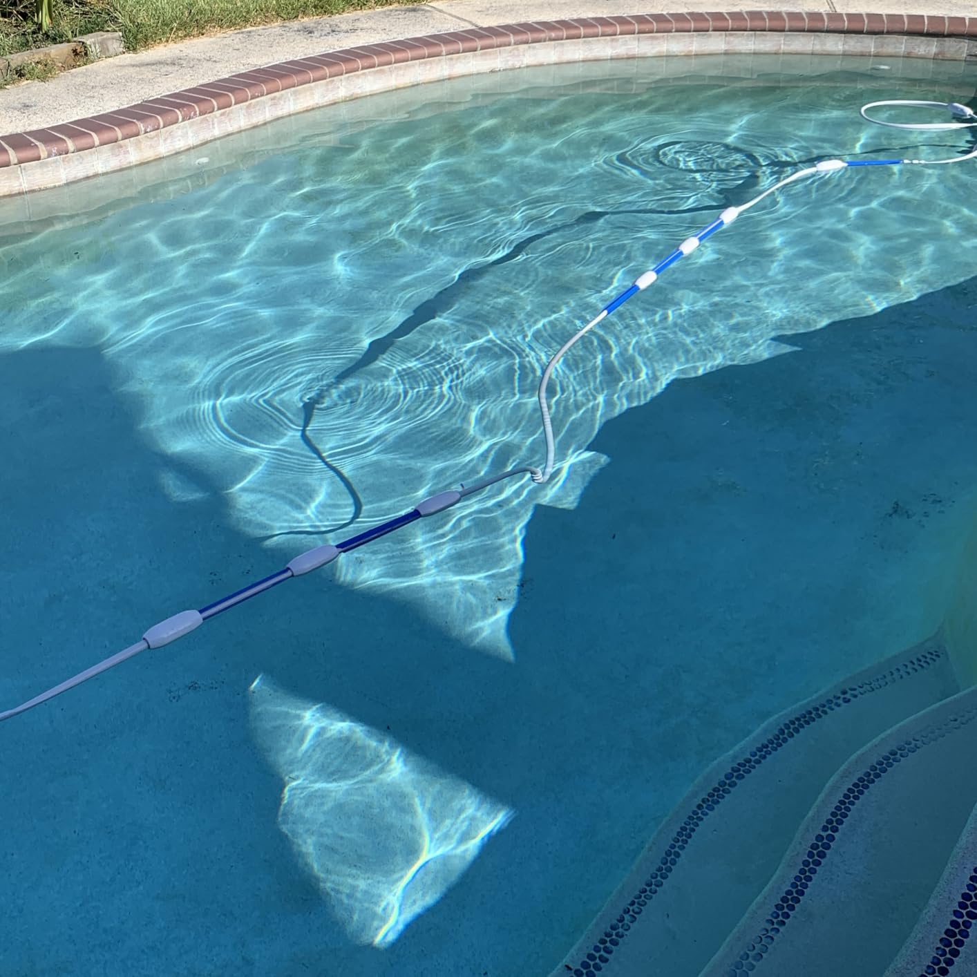 Vine-Shoe customer pool showing DRAGON HOSE Stabilizers between existing hose floats and a visible Rotation Zone