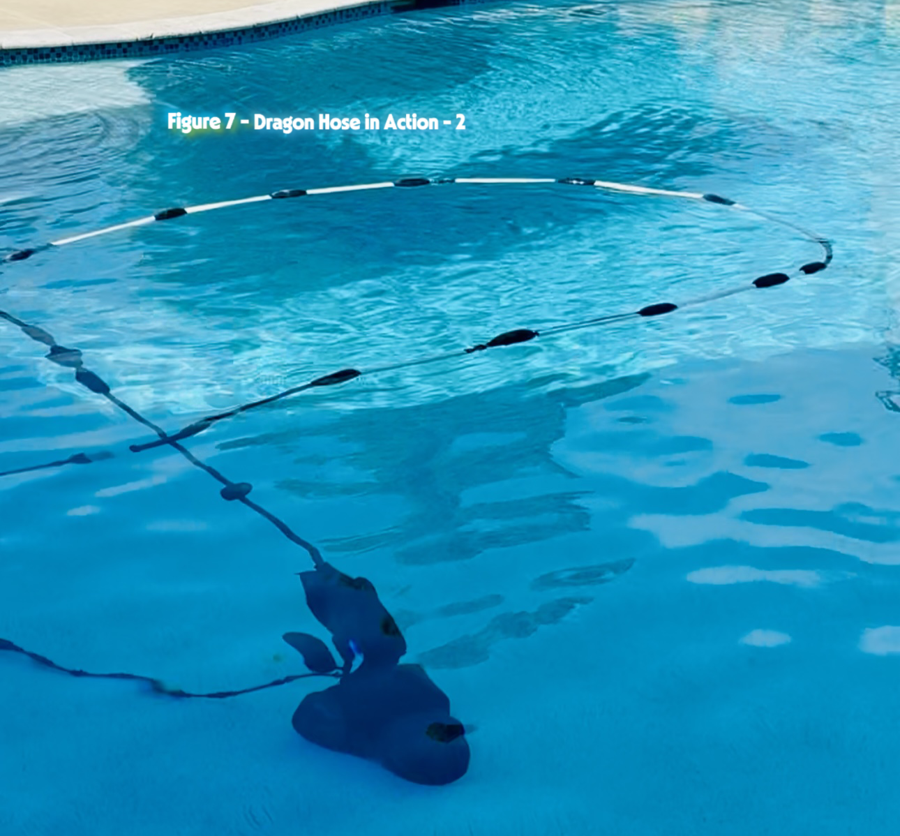 Dragon Hose Pool Testing
